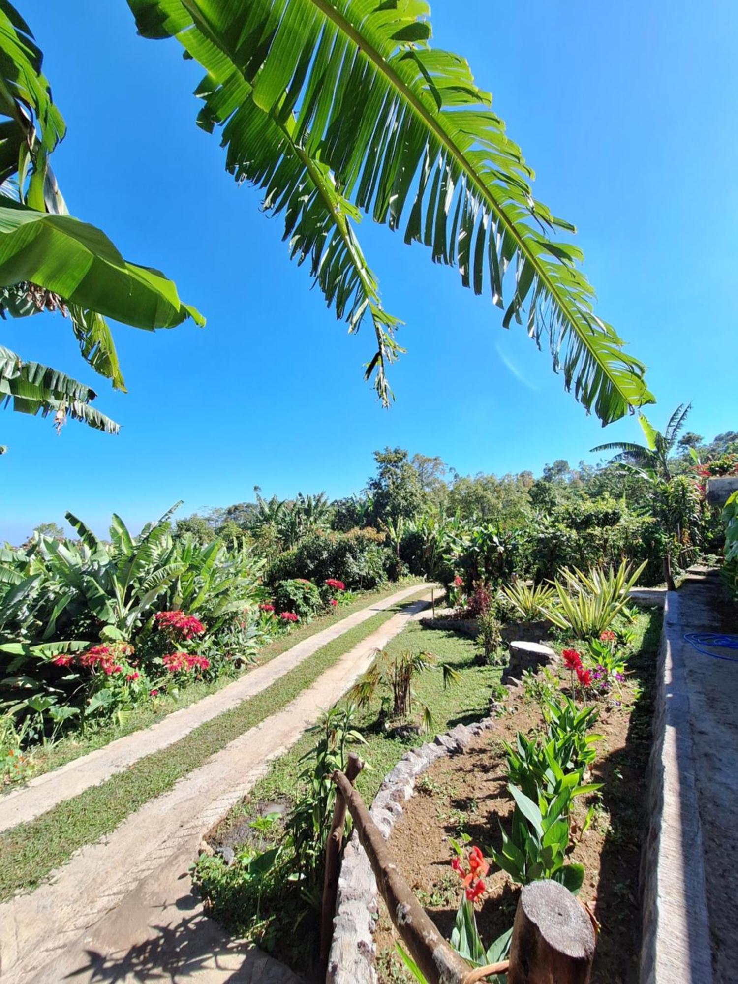 Manigelang Villa Munduk  Exterior photo