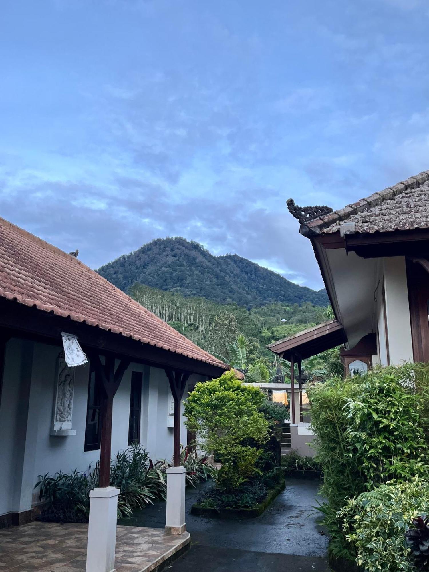 Manigelang Villa Munduk  Exterior photo